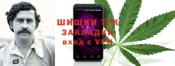 спиды Аркадак