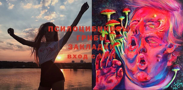 скорость Медвежьегорск