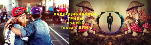 спиды Аркадак