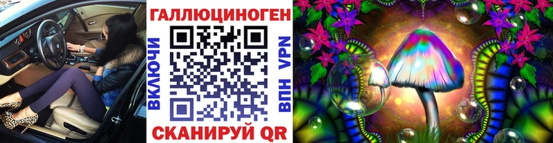 Псилоцибиновые грибы Psilocybine cubensis  Магадан 